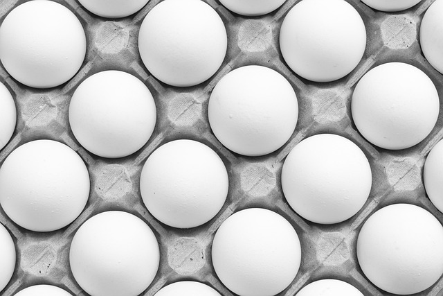 PFAS in eieren: risico's en oplossingen voor een gezondere toekomst